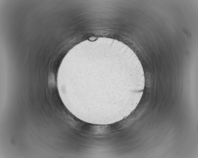 X0000110860089200907301400