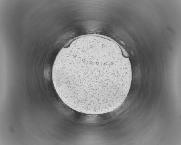 X0000110860090200907301400