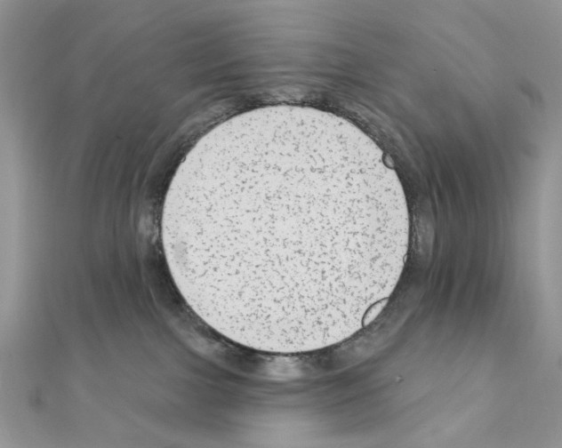 X0000110860091200907301401