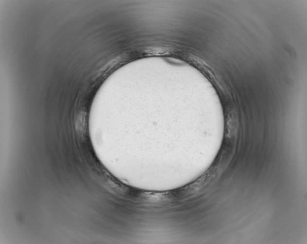 X0000110860093200907301401