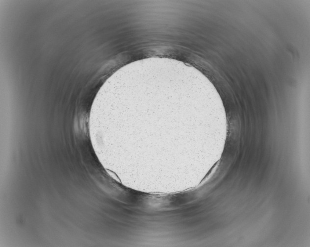 X0000110860094200907301401