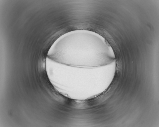 X0000110860095200907301401