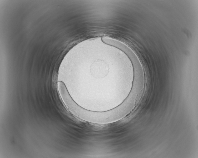 X0000110860096200907301401