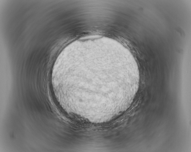 X0000110860097200907301400