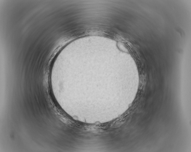 X0000110860098200907301400