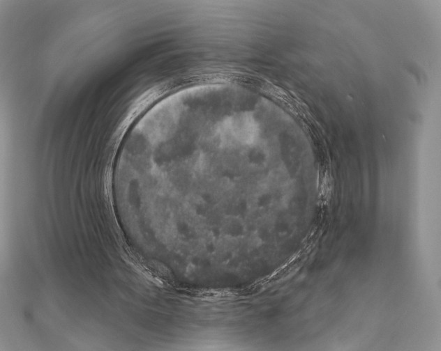 X0000110860099200907301400