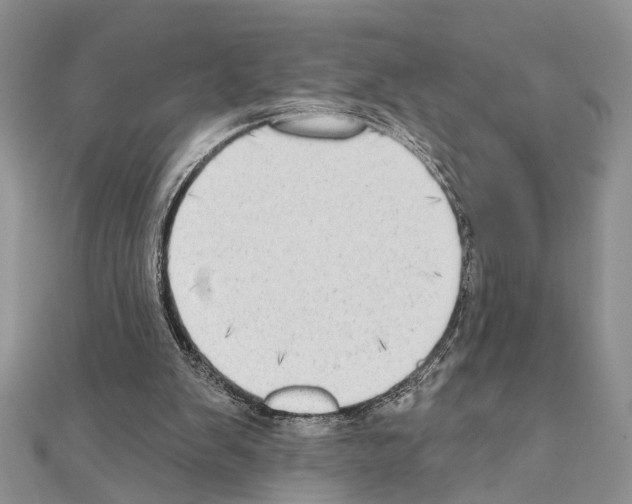 X0000110860103200907301400