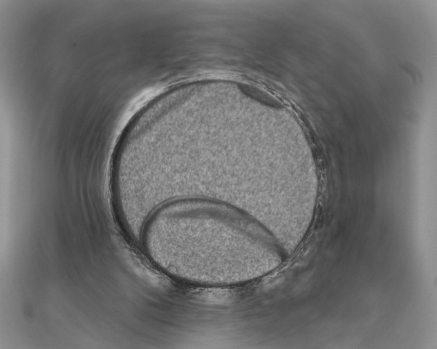 X0000110860104200907301400