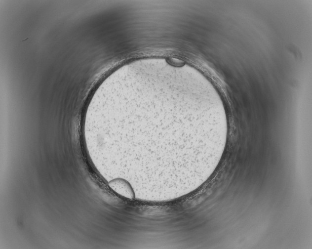 X0000110860107200907301400