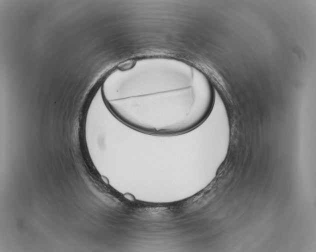 X0000110860108200907301400