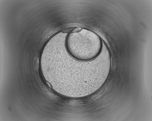 X0000110860109200907301400