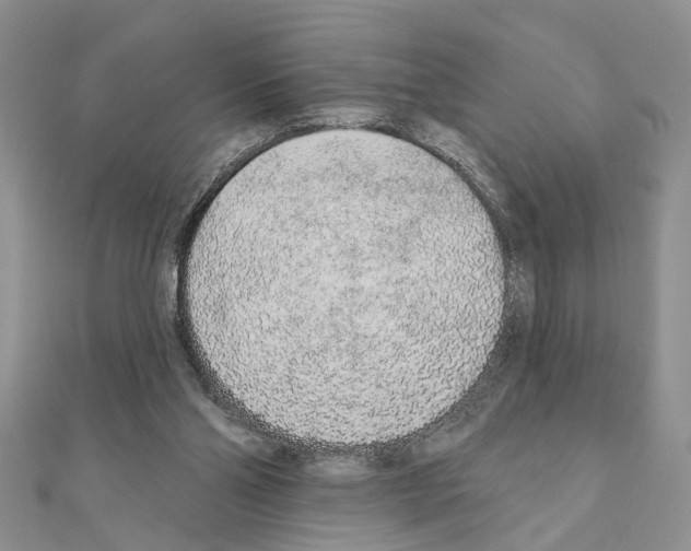 X0000110860110200907301400