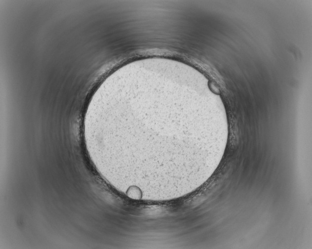 X0000110860111200907301400
