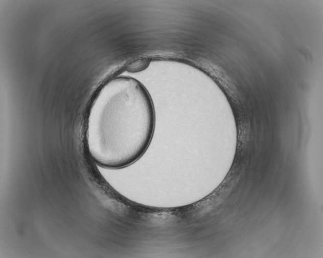 X0000110860112200907301400