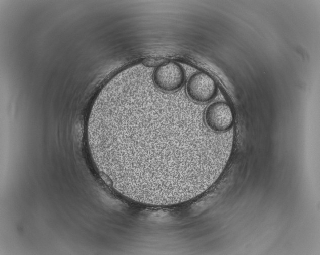 X0000110860113200907301400