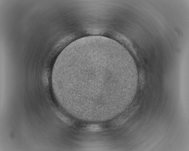 X0000110860114200907301400