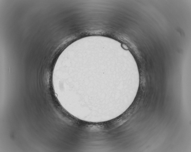 X0000110860115200907301400