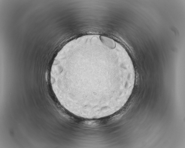 X0000110860117200907301400