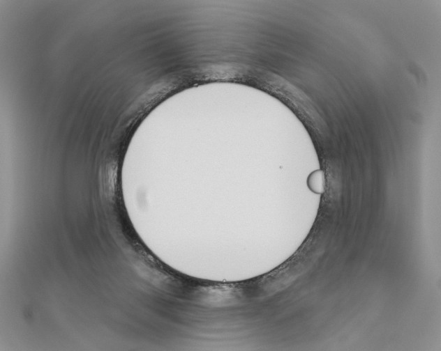 X0000110860118200907301400