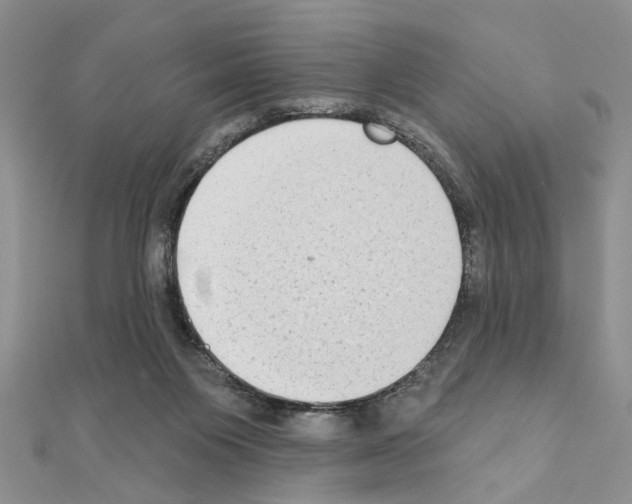 X0000110860119200907301400