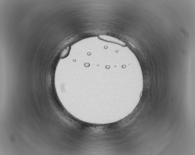 X0000110860120200907301400