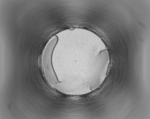 X0000110860121200907301400