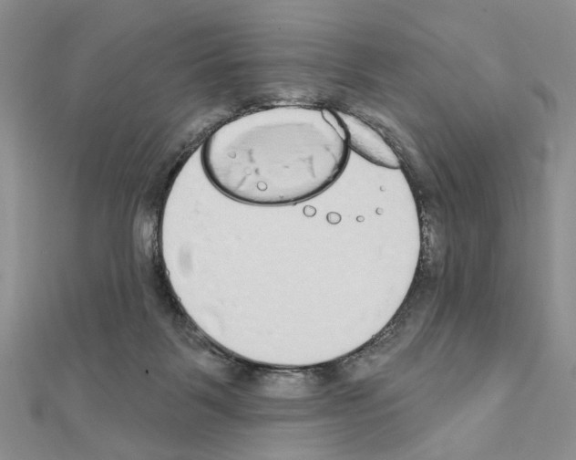X0000110860123200907301400