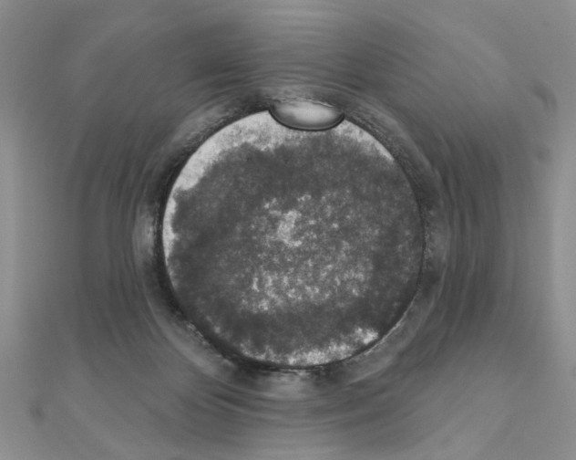 X0000110860124200907301400