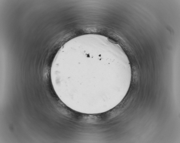 X0000110860125200907301359
