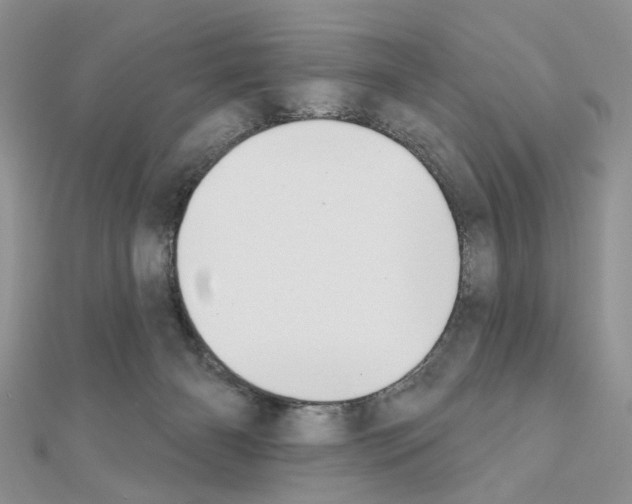 X0000110860126200907301359