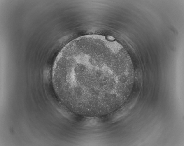 X0000110860127200907301359