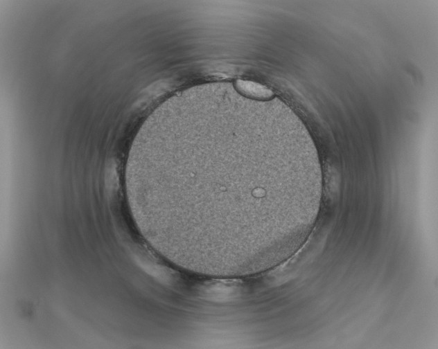 X0000110860128200907301359