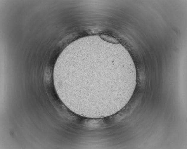 X0000110860129200907301359