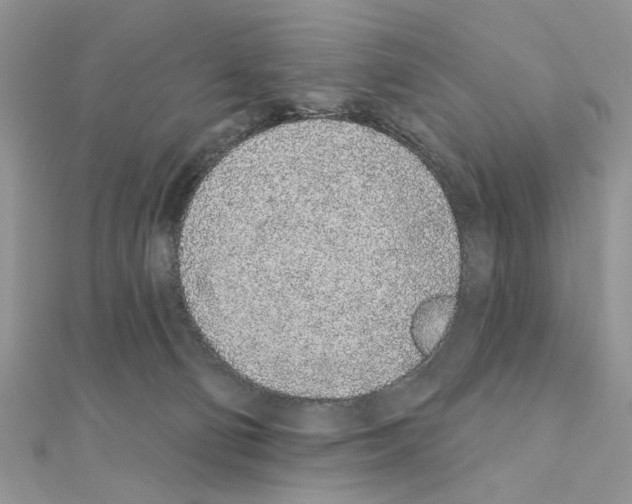 X0000110860130200907301359