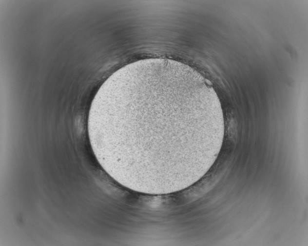 X0000110860131200907301359