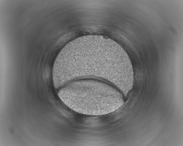 X0000110860132200907301359