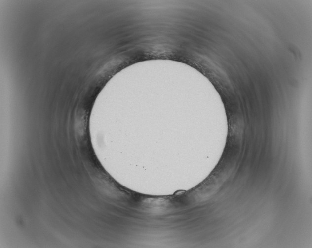 X0000110860133200907301359