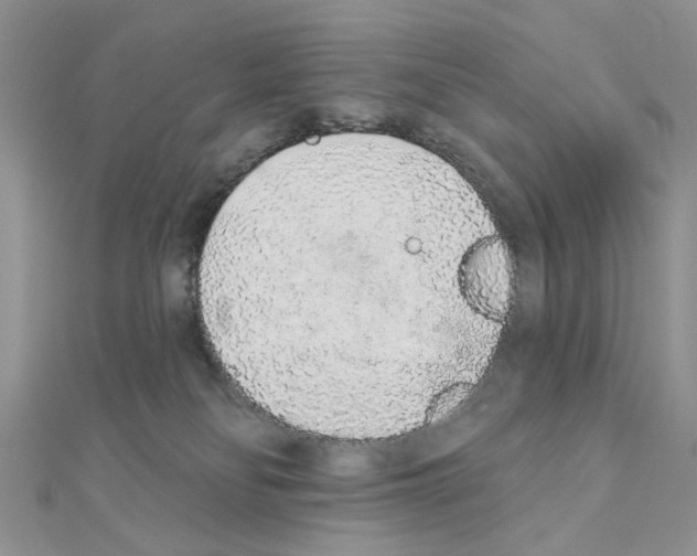 X0000110860134200907301359