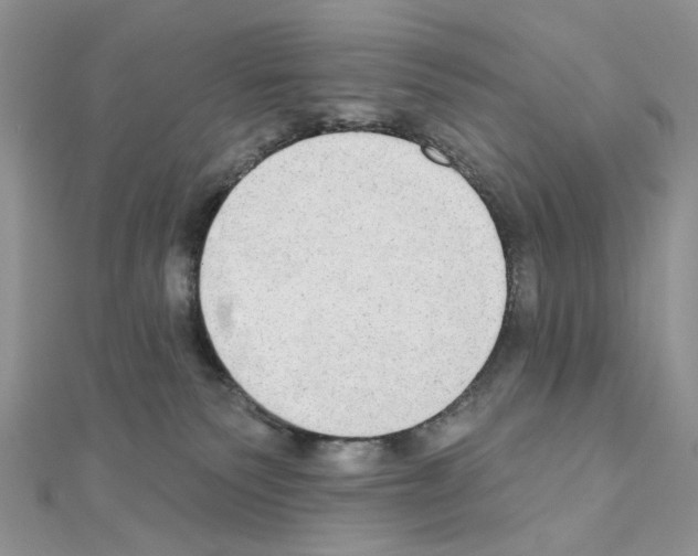 X0000110860135200907301359