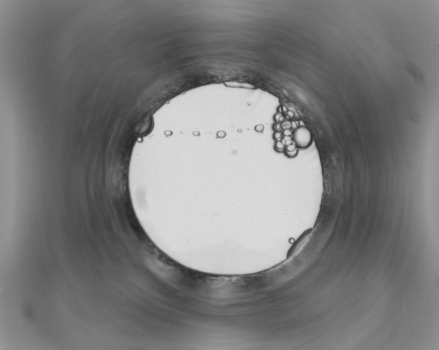X0000110860136200907301359