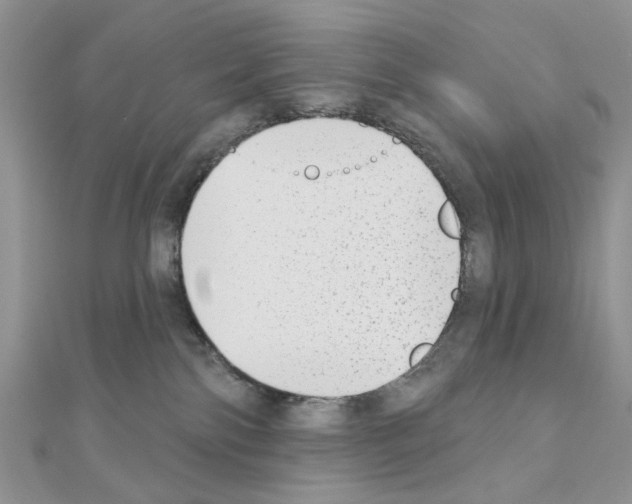 X0000110860138200907301359