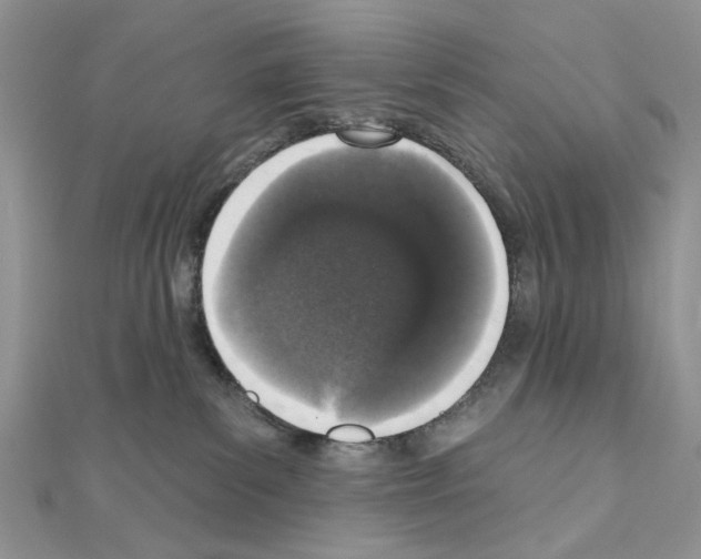 X0000110860139200907301359
