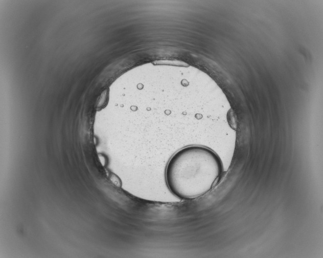 X0000110860140200907301359