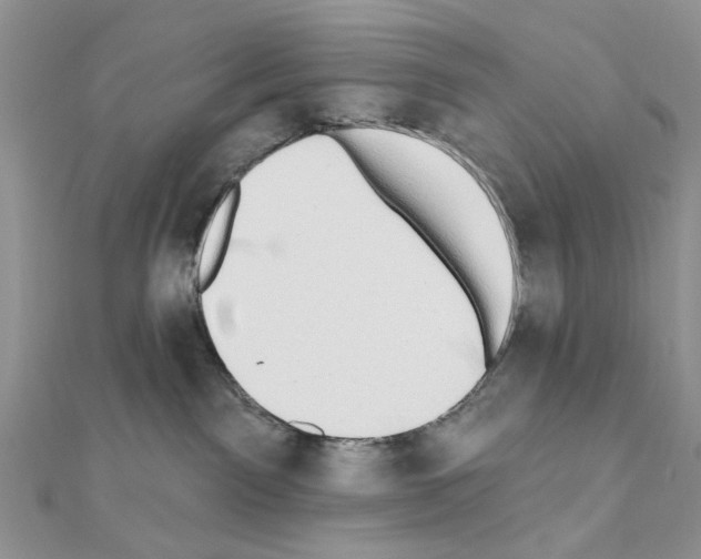 X0000110860141200907301359