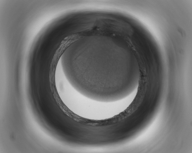X0000110860143200907301359