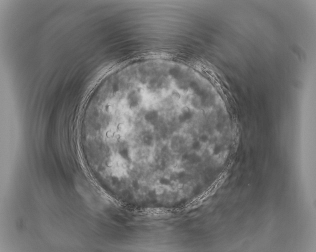 X0000110860145200907301359