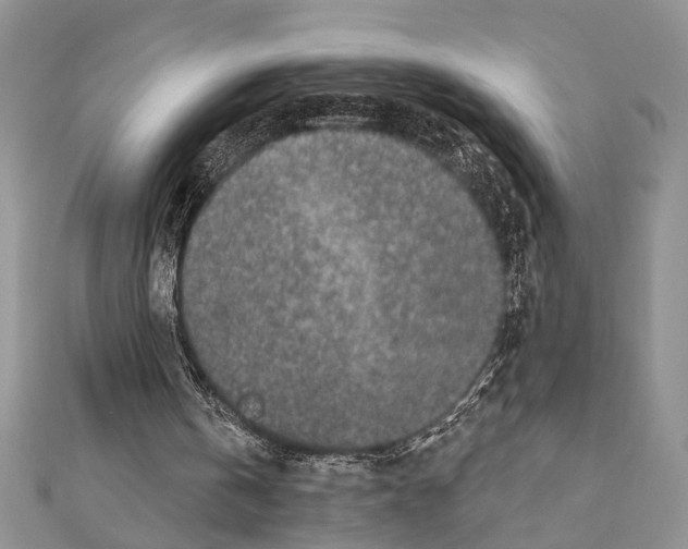 X0000110860146200907301359