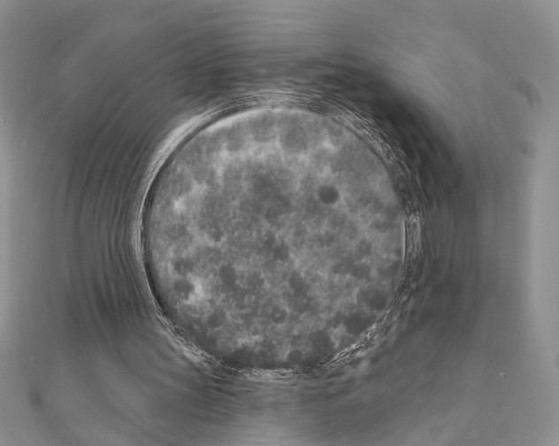 X0000110860147200907301359