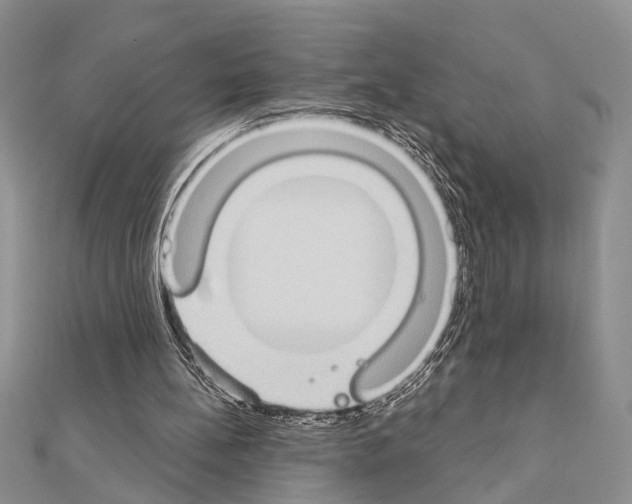 X0000110860148200907301359