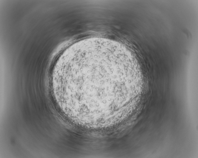 X0000110860149200907301359